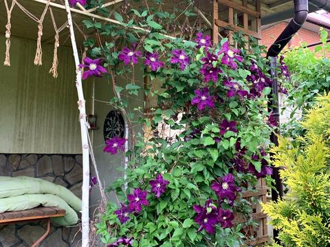 будинок за адресою Білогорська вул. (Фабриціуса), 88