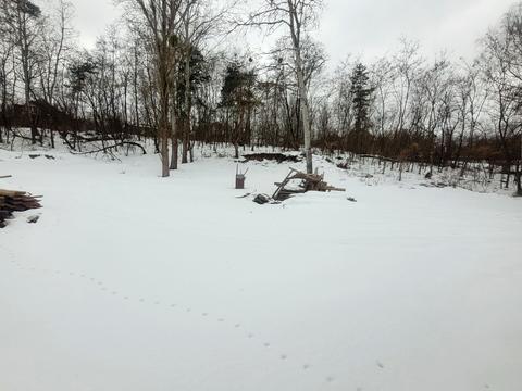 участок по адресу Польова