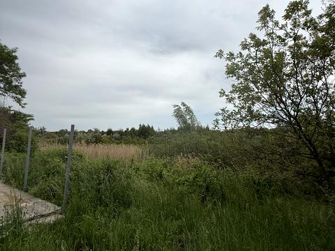 участок по адресу Набережная ул.