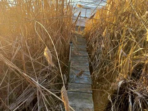 будинок за адресою Рильського вул., 36