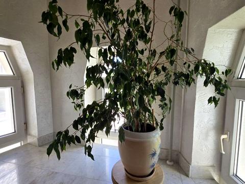 будинок за адресою Хмельницький, Селекційна вул., 65