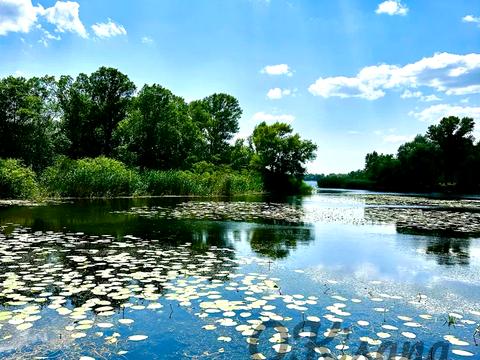 дом по адресу Наталки Нікуліної ул. (Некрасова), 2