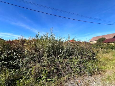 ділянка за адресою Тернопільська вул.