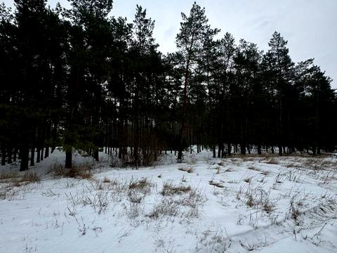 будинок за адресою Піщана вул.