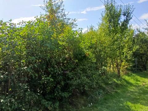 участок по адресу с. Заверешица, 