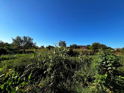 дом по адресу Старий Білоус