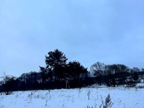 участок по адресу с. Жорниска, 