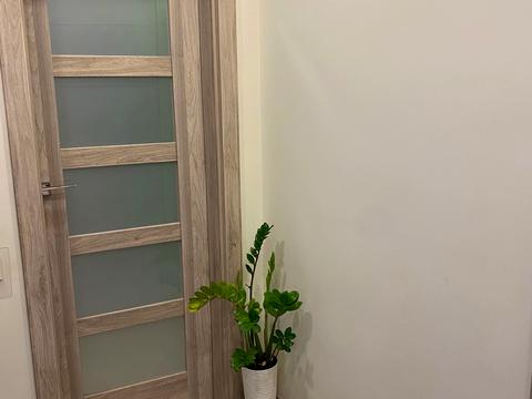 квартира по адресу Кривчицкая Дорога ул., 8а