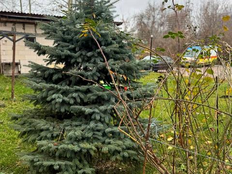 квартира за адресою Загребля вул., 19