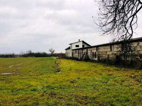 ділянка за адресою Головна, 4