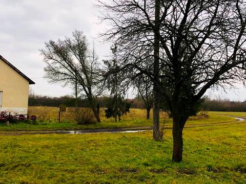 ділянка за адресою Головна, 4