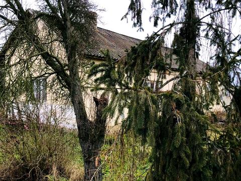 ділянка за адресою Головна, 4