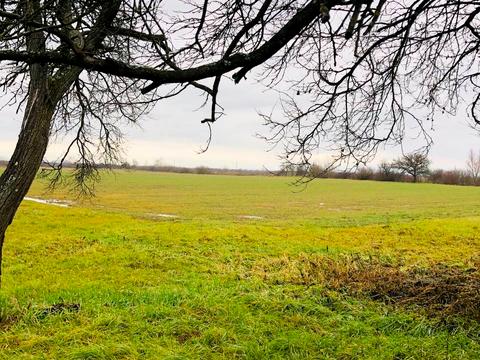 ділянка за адресою Головна, 4