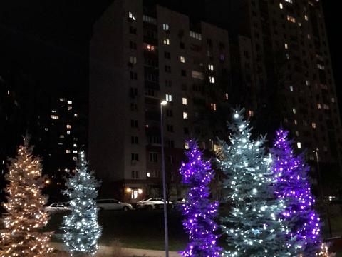 квартира по адресу Червоной Калины просп. (Владимира Маяковского), 1-В