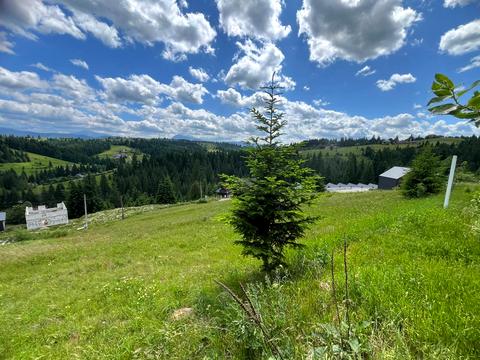 ділянка за адресою Горішків