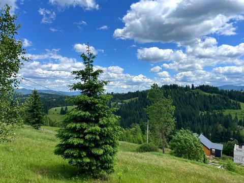 ділянка за адресою Горішків