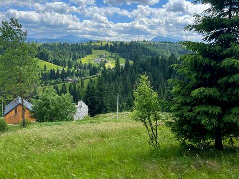 ділянка за адресою Горішків