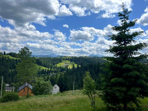 ділянка за адресою Горішків