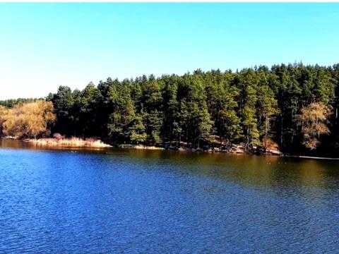 квартира по адресу Чернигов, Стрелецкая ул., 98