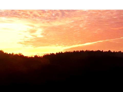 квартира по адресу Чернигов, Стрелецкая ул., 98