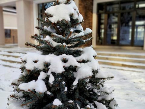 дом по адресу Струмкова