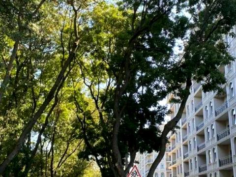 квартира за адресою Дача Ковалевського вул., 91