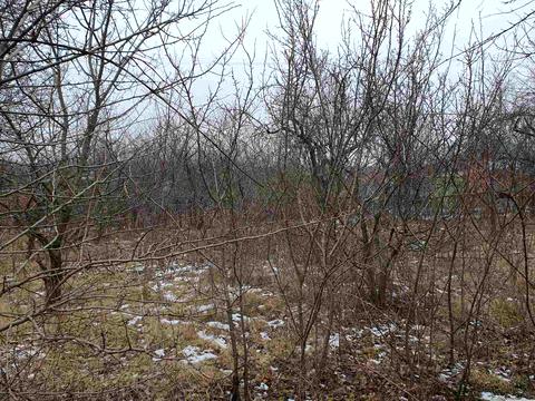 будинок за адресою с. Кам'яна Яруга, Садова вул., 50а