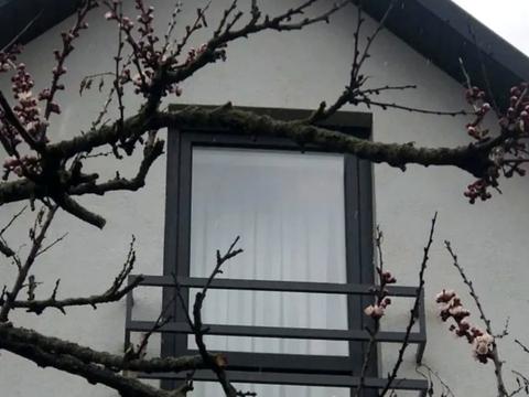 дом по адресу Канальна ул., 80