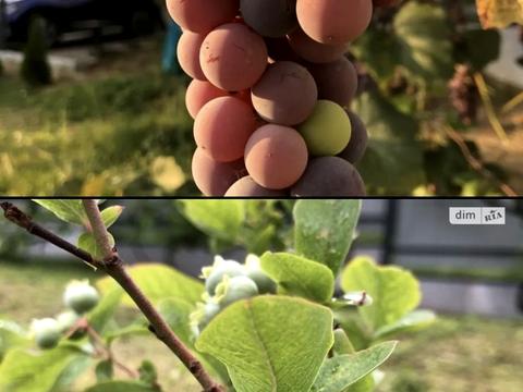 дом по адресу Канальна ул., 80