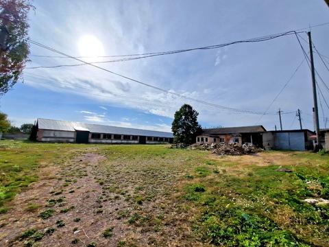 коммерческая по адресу Шевченко ул., 3