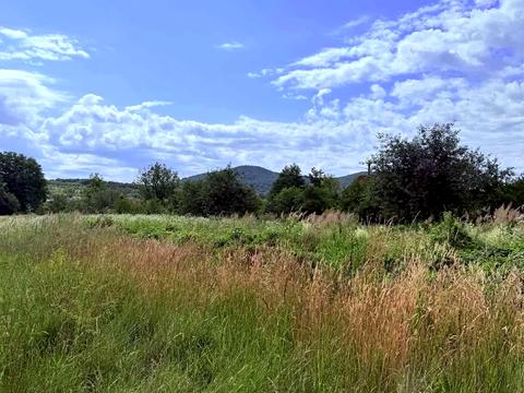 участок по адресу Садова