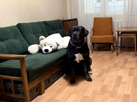 квартира за адресою Братиславська вул., 9-А