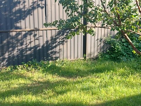 будинок за адресою 10 Лінія вул., 111