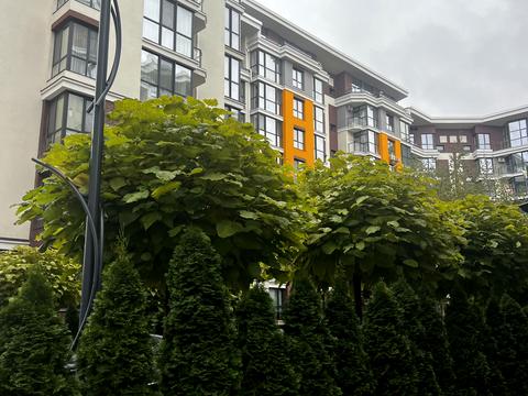 комерційна за адресою Прорізна вул., 13