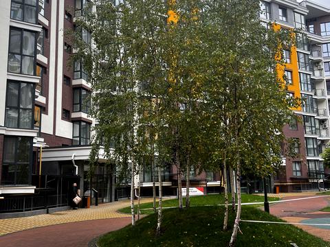 комерційна за адресою Прорізна вул., 13