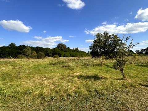 ділянка за адресою Озерна