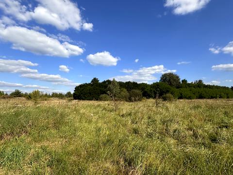 ділянка за адресою Озерна