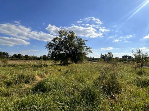 ділянка за адресою Озерна