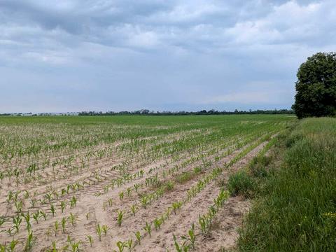 участок по адресу 