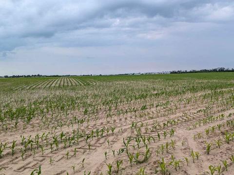 участок по адресу 