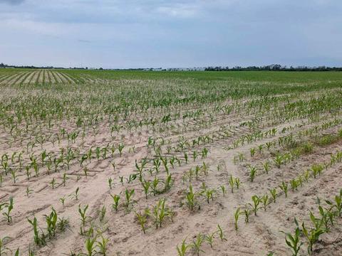 участок по адресу 