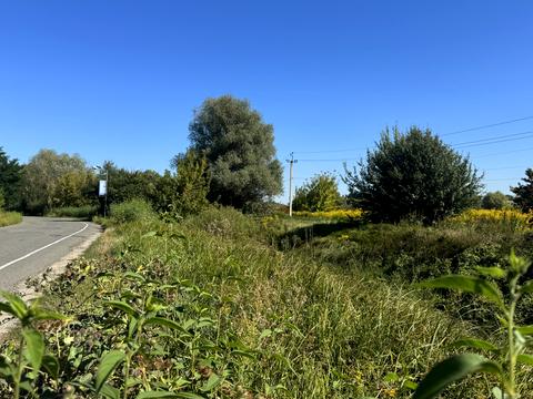 участок по адресу Шевченко ул.