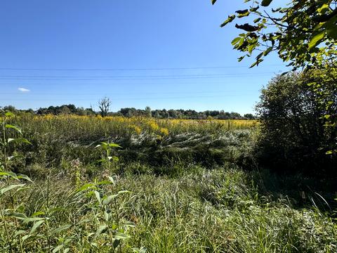 участок по адресу Шевченко ул.