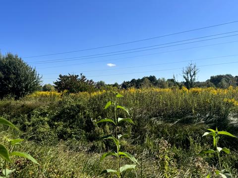 участок по адресу Шевченко ул.