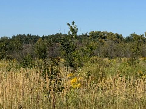 участок по адресу Киевская ул., 1