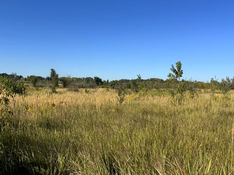 участок по адресу Киевская ул., 1