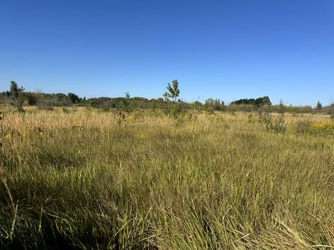 участок по адресу Киевская ул., 1