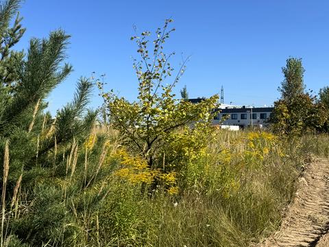 участок по адресу Киевская ул., 1