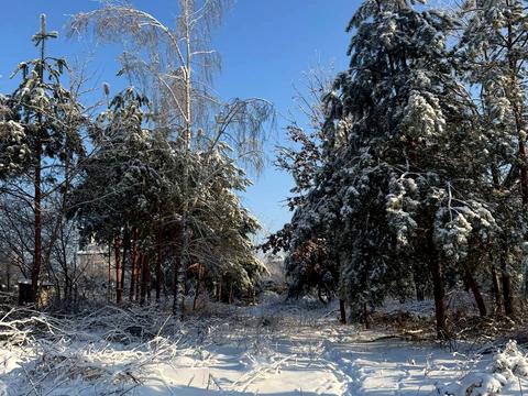 ділянка за адресою Грушевського вул., 8