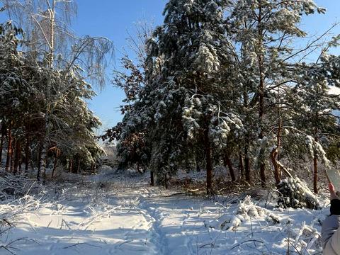 ділянка за адресою Грушевського вул., 8